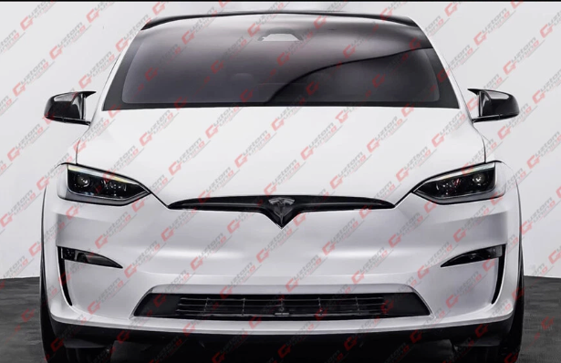 Tesla Model X Carbon Fiber M style Caps